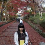 境内一の見どころの敷きモミジです。
