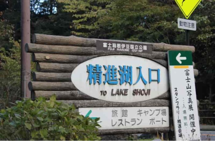 富士五湖のひとつである精進湖へ！
