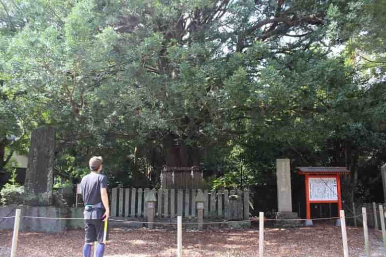 熊野速玉大社～見どころ紹介【アクセス・駐車場・御朱印】 気まぐれファミリー弾丸旅物語