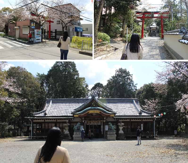 日根神社の参道より本殿に進みます。