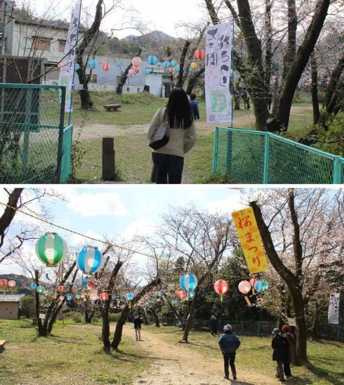 大井関桜まつりのイベント会場です。