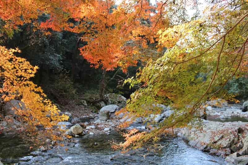 摂津峡公園 紅葉のハイキング アクセス 駐車場 渓谷コース編 気まぐれファミリー弾丸旅物語