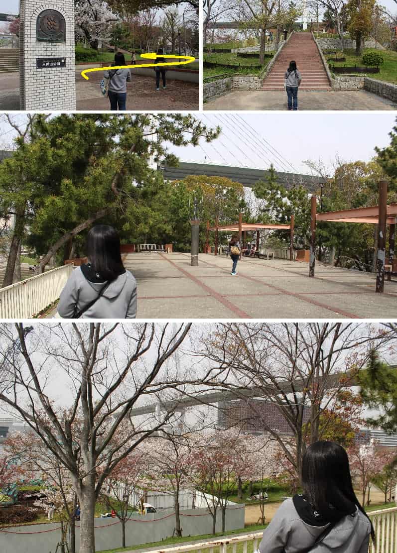 天保山公園の桜 アクセス 駐車場 気まぐれファミリー弾丸旅物語