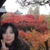 東福寺の境内の紅葉の景色です。