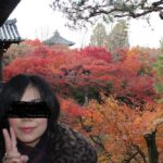 東福寺の境内の紅葉の景色です。