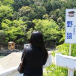 野猿を体験している先客の姿です。